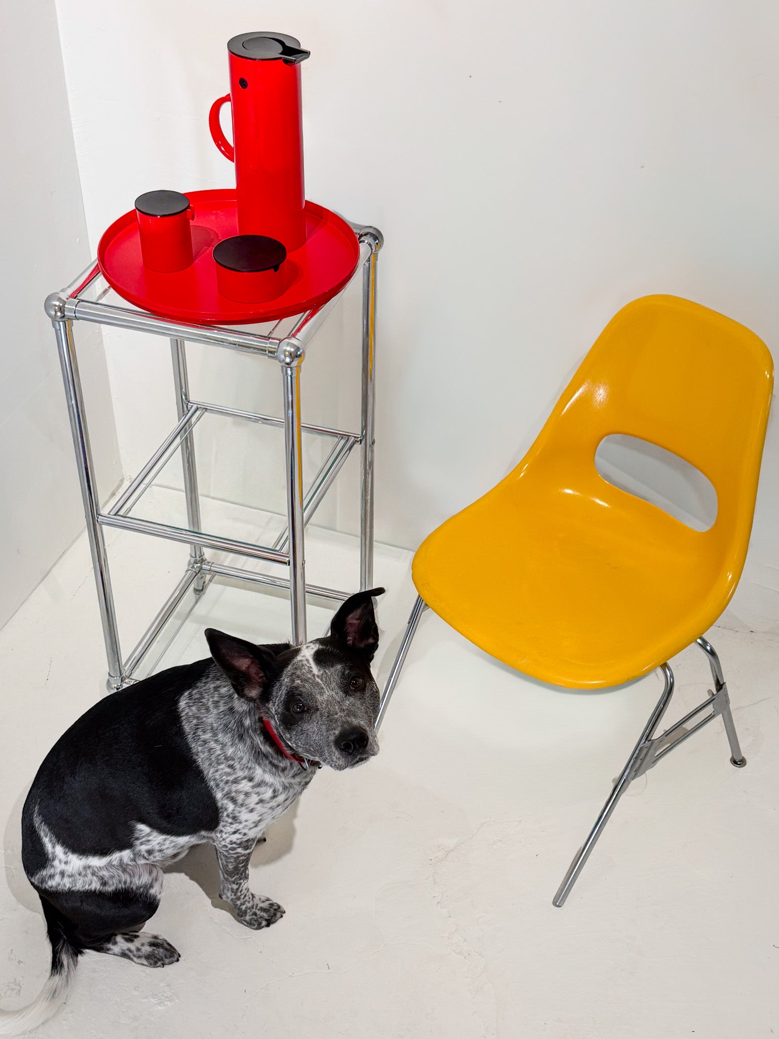 Vintage Krueger Shell Chair in Mustard + Chrome (c. 1960s)